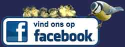 Ga naar onze Facebookpagina